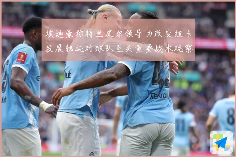 埃迪豪称特里皮尔领导力改变纽卡发展轨迹对球队至关重要战术观察-深度解析