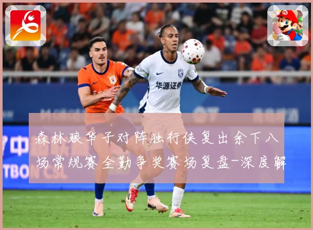 森林狼华子对阵独行侠复出余下八场常规赛全勤争奖赛场复盘-深度解析
