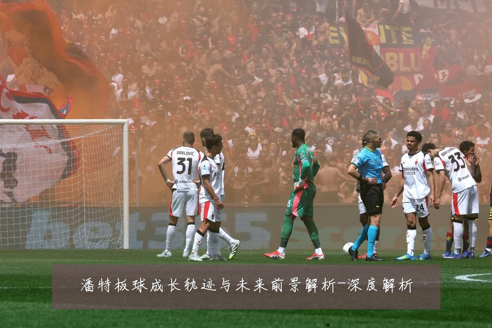 潘特板球成长轨迹与未来前景解析-深度解析